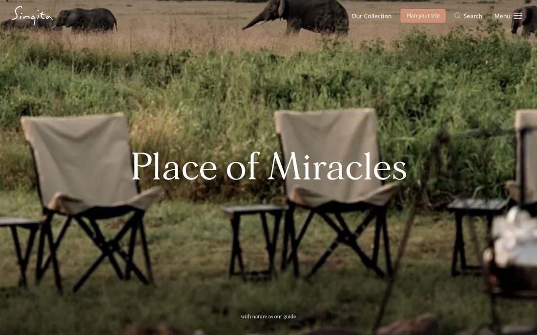 Singita website preview